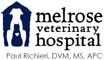 Melrose Veterinary Hospital
